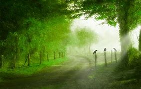 靓号,一直以来都被人们尊为身份和地位的象征,因此备受青睐。然而,真正的把一个靓号拥有却总不是那么容易。